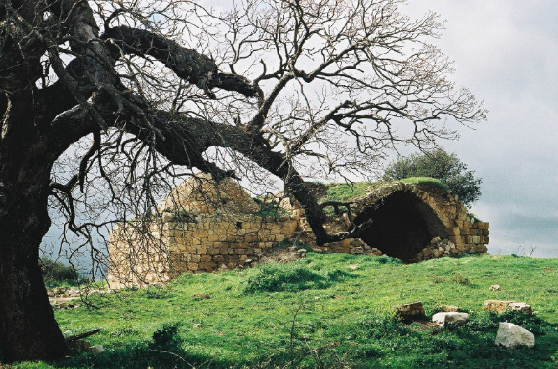 Living in Beit El in the Biblical Heartland